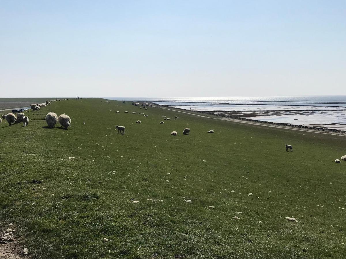 Ferienwohnung Fuer Grosse Familien Im Haus Akunak Büsum Buitenkant foto
